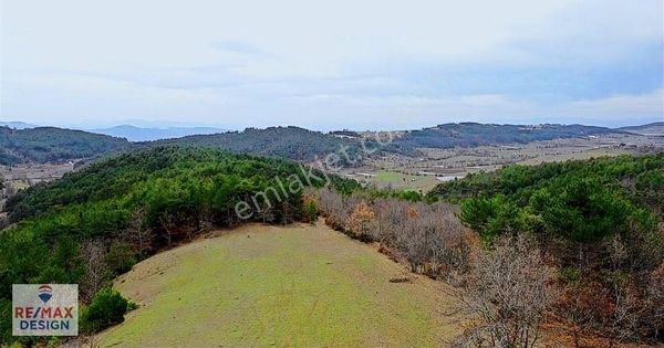 Remax Design Pamukova Çilekli'de 5.383 M² Hakim Tepede Tarla