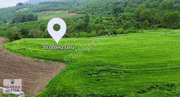 Remax Desıgn Serdıvanda 20.000 M2 Satılık Tarla