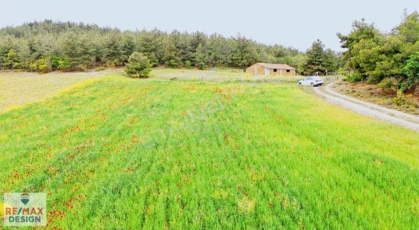 Remax Design Pamukova Mekece'de 4.496 M² Havadar Fırsat Tarla