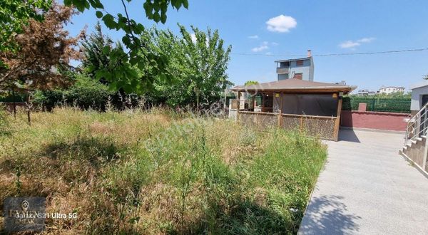 Köşe Başında Bahçe Duvarlı Meyve Ağaçları Ve Kamelyalı Arsa