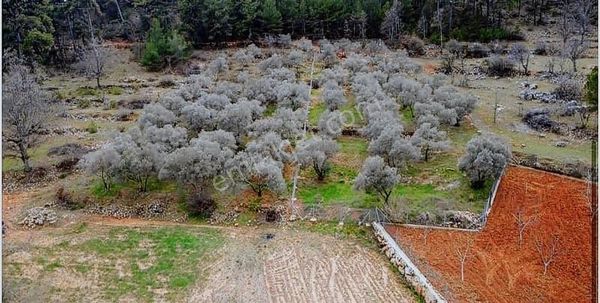 Gw Vista'dan Kuyucakta Yatırımlık Arazi