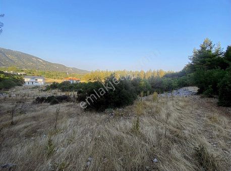 Gw Vista'dan Orman Yanı Fırsat Arsa