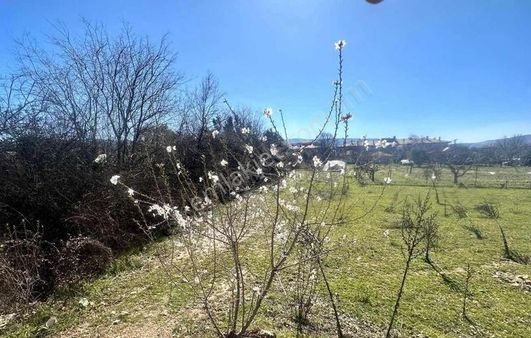 Gw Vista'dan Yeniköy De Arsa