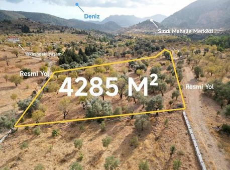 Startkey Datça Sındı Mahallesinde Yerleşim Ve İmar Sınırı Tarla
