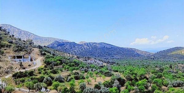 Startkey Pelit Hızırşah'ta 88 M Yol Cepheli Tarla