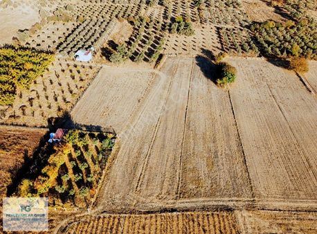 Kısa Süreliğine Tuzabat Köyünde Doğa İle İçiçe 1309m2 Tarla