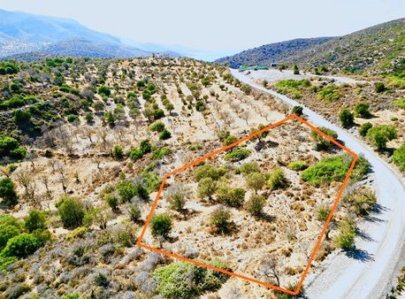Startkey Datça Yazı Mahallesi Yol Cepheli 1762 M2 Bademli Tarla