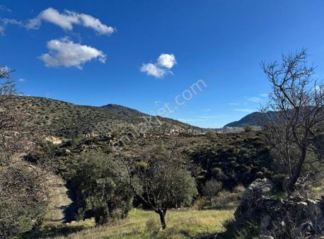 Startkey Pelit Datça Yazı Köy'de 2297 M2 Tarla