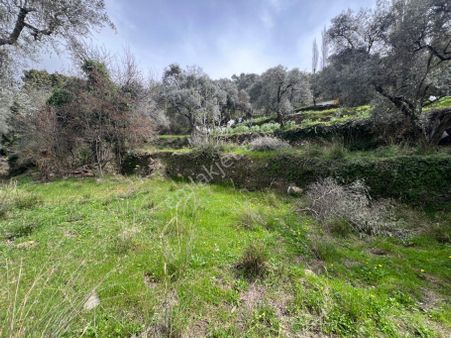 Kaçmaz! Milas Kayabaşında 340 M² Müstakil Tapulu Bahçe