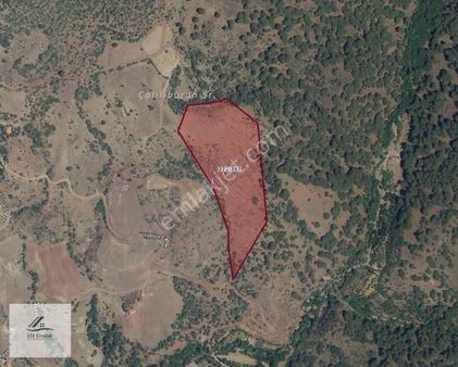 Kocakağan'da 30 Dönüm Tek Tapu Yatırımlık Tarla