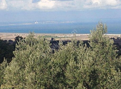 Gönen Çifteçeşmeler Köyünde Satılık Arsa