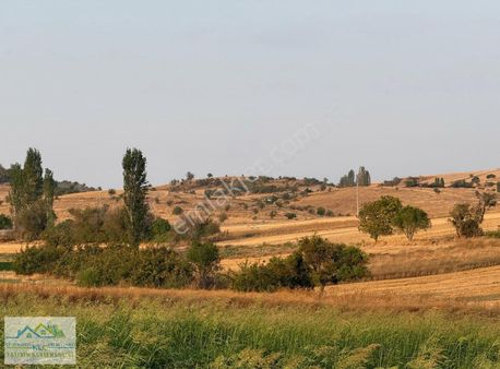 Klc Den Kepsut Kalburcu Mahallesinde 1.917 M² Tarla