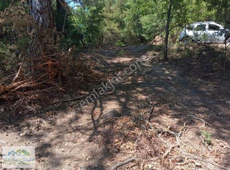 Klc Den Çanakkale Yenice Çakıroba Mahallesinde 2.402 M2 Bahçe