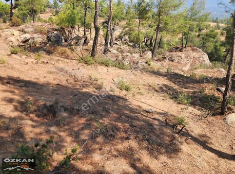 Kavaklıdere Kurucuova`da İki Parsel Toplam 5425 M2 Satılık Tarla