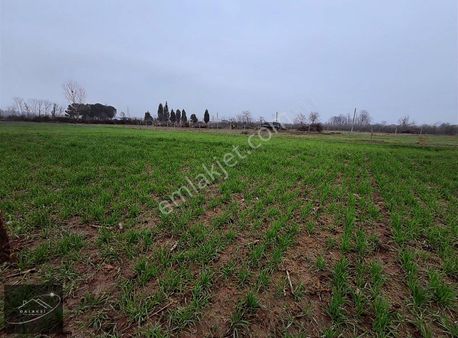 Karapürçekte İmar Sınırında Satılık Tarla