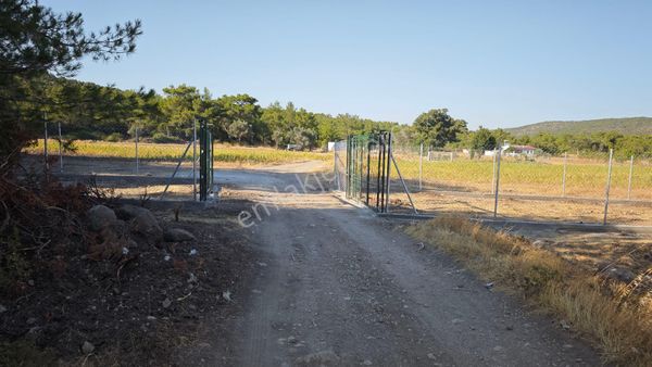 Urla Kadıovacık Mh Satılık Tek Tapu Tarla