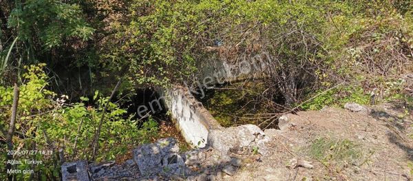 Satılık 9 Dönüm Bilecikte Bahçe