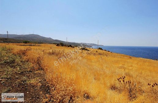 Bozköy Akçakilisede Geniş Arazi