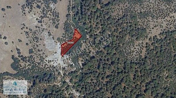 Çanakkale Merkez Serçiler Köyün'de Kelepir Satılık Tarla