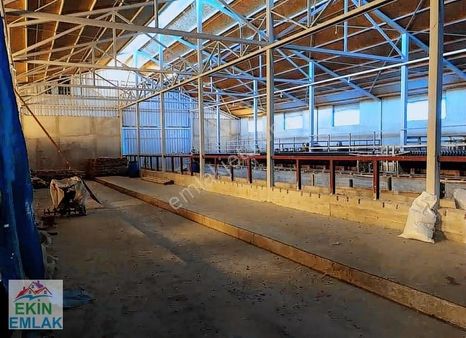 Ekin'den Kastamonu'da Satılık Mükemmel Arsa