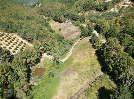 2m Yatırım'dan İznik Tacir Köyünde Asfalt Cephe Tarla