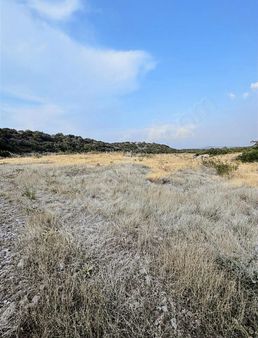 Ege Emlak Yatırım'dan Uygun Fiyatlı Tarla
