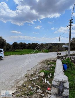 Sarıalan Köyünde 2 Adet Evi Olan Satılık Fırsat Arsa