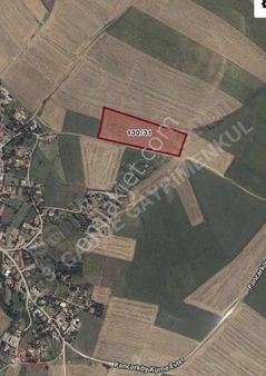 Kırklareli Pancarköy' De İmar Yanı Kupon Tarla 16.194 M2