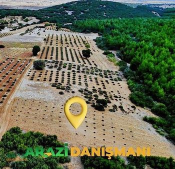 Arazi Danışmanı'ndan Göl Manzaralı Arazi