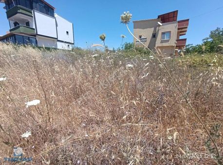 Tekirdağ Şarköyde Satılık Arsa