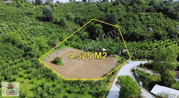 Düzce Konut Emlak | Konuralp Çiftepınarlar Satılık 4525 M2 Tarla