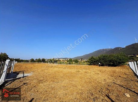 Kuşadası Köyün İçinde 2.202 M2 Tek Tapu Anayola 105 Mt Tarla