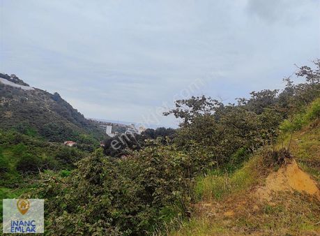 İnanç Prime Emlaktan Erikliman Da 20 Dönüm Turizm İmarlı Arsa