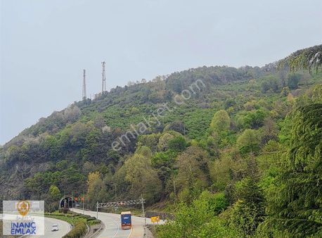 İnanç Prime Yatırımdan Keşap Yolağzında 6049 M2 Fındık Bahçesi