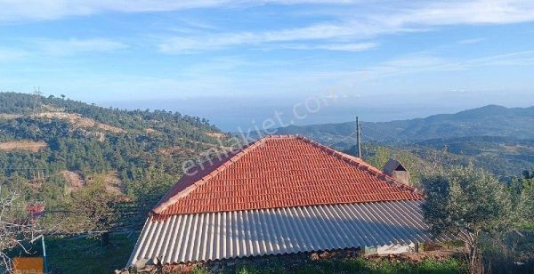 Muğla Dağpınarı Satılık Deniz Manzaralı Ev Ve Tarla