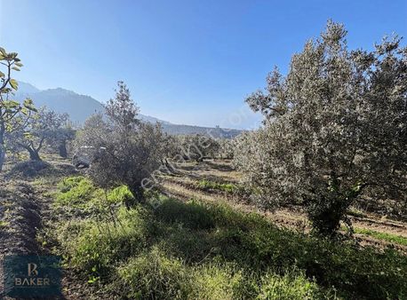 Baker'den Gündoğdu Köyünde 200 M2 Satılık Manzaralı Arsa