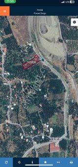 Kemalpaşa Yiğitlerde Köyün Altında 2330m2 Tek Tapu Bahçe