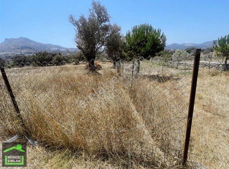 Bodrum Gürecede Satılık Tiny House Arsası