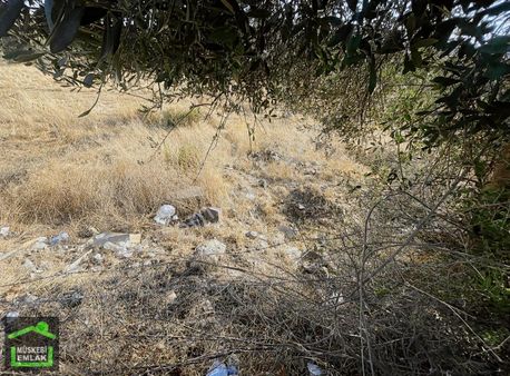 Bodrum Ortakent Merkezde Satılık İmarlı Arsa