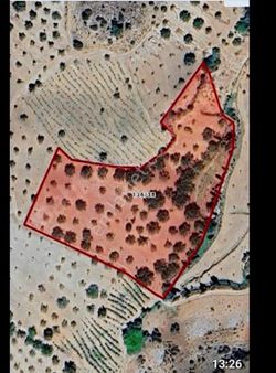 Satlık Ful Dikili Bahçe Zeynep Uşagında