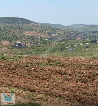 Bilekte Yüksek Konumda Bağevlik Arazi