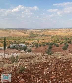 Bilek-tokdemir Arası Resmi Yol Üzeri Tek Tapu Arazi