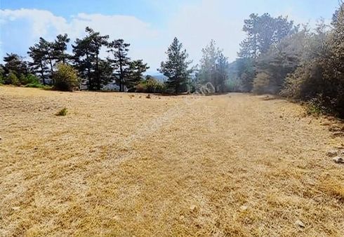 Fırsat Meraya Cepheli Tarla