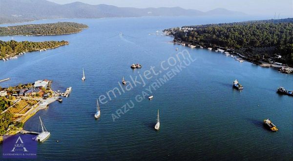 Muğla Milas Kazıklı Da 7547m2 Satılık Zeytinlik