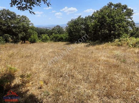 Kandıra Eğercili Köyünde Yatırımlık Satılık Arazi