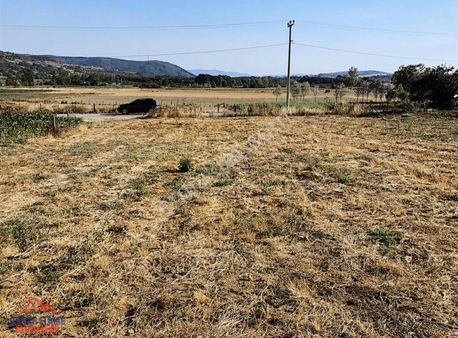 Kandıra Kırkarmut Ana Yola Cephe Satılık Arsa