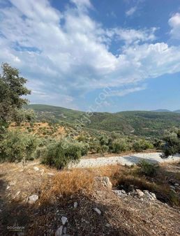 Doğadan Milas Yoğunolukta Elektrik Su Yol Olan Arazi
