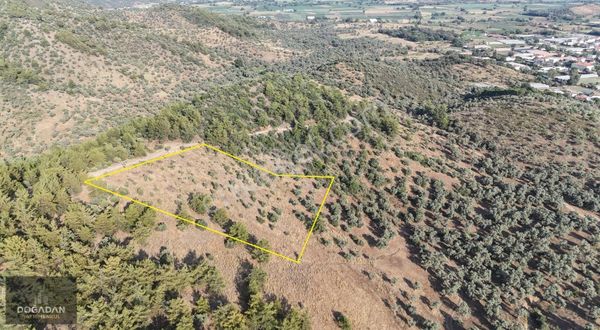 Doğadan Acilfırsat! Kafacada Köycivarı 6438m2 Fulmanzaralı Arazi