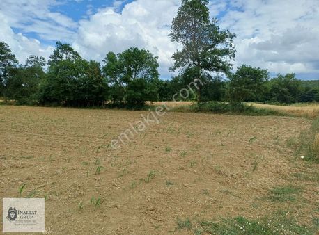 Kandıra Sınırı Kaynarcada Asfalt Kenarı Engebesiz Düz Arazi