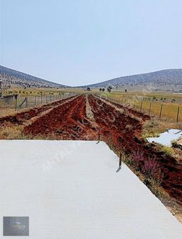 Korkuteli Samandırda 5300m2 90m2 Su Basmanı Olan Tarlamızsatılık